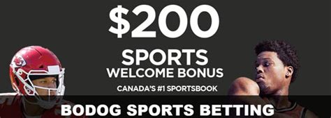 bodog sports betting|bodog.com.